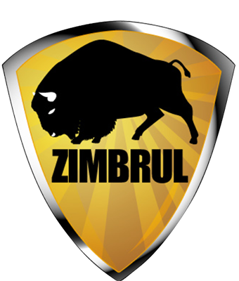 Zimbrul Security Logo